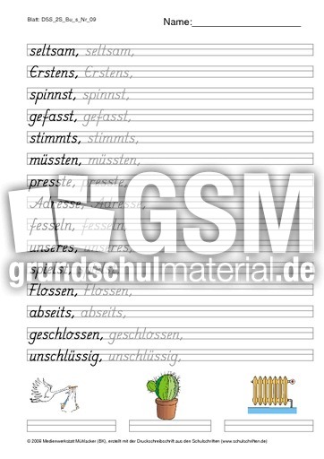 DSS_2S_Bu_s_Nr_09.pdf